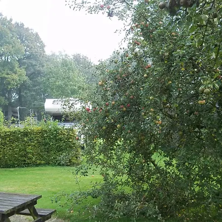 B&B Slaoperij-2